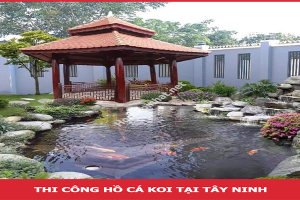 Thi công Hồ Cá Koi tại Tây Ninh