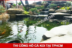 Thi công Hồ Cá Koi tại TPHCM