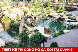 Thiết kế thi công hồ cá koi tại quận 9